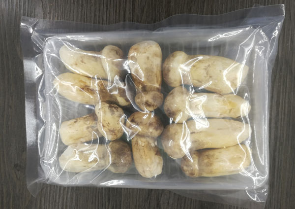 FD松茸价格