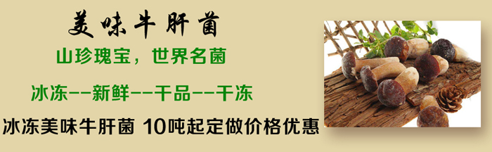 美味牛肝菌批发