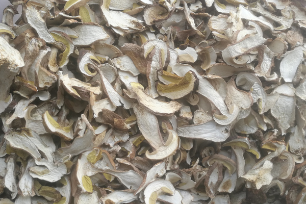 干美味牛肝菌价格