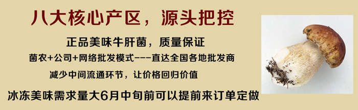 美味牛肝菌产地