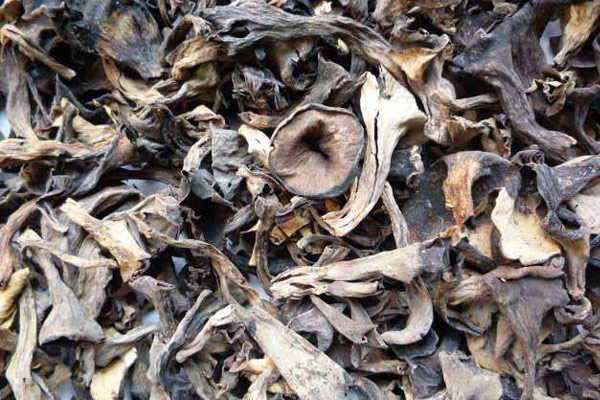 青炒黑喇叭菌的功效作用与营养价值 青炒黑喇叭菌的功效作用与营养价值