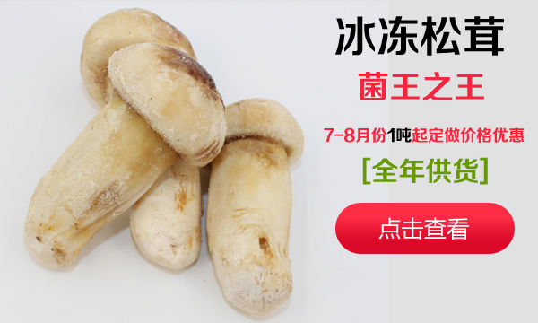 冰冻松茸