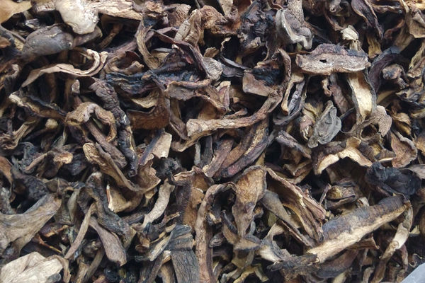 干黑牛肝菌价格