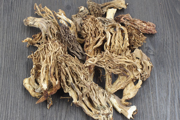 干货珊瑚菌价格