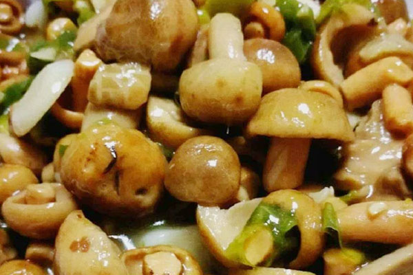 青头菌为什么贵