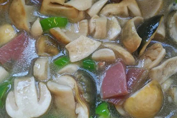 青头菌可以降血压吗