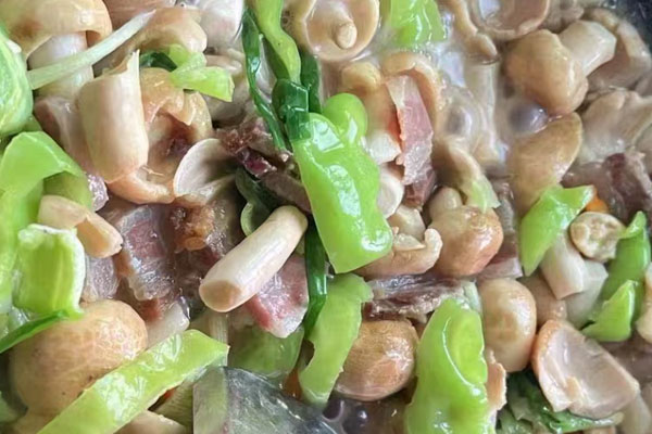 青头菌可以降低胆固醇吗