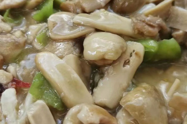 青头菌放了4天还可以吃吗，青头菌放了一周可以吃吗