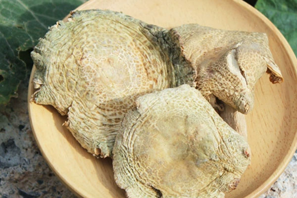 青头菌有没有怪味