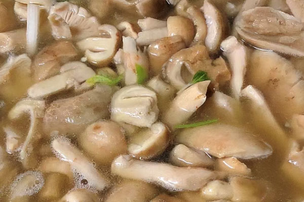 术后能吃青头菌吗