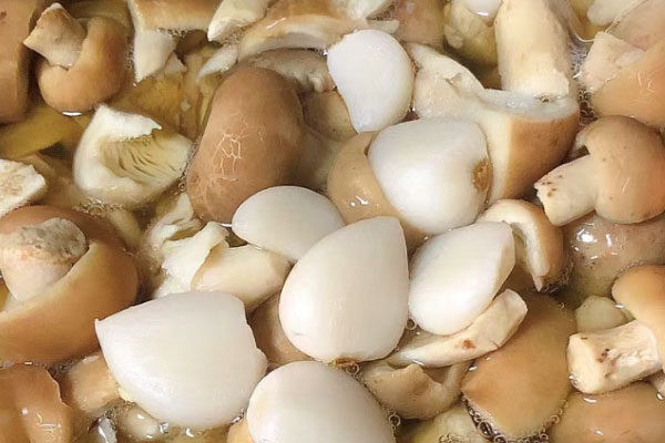 青头菌炒不熟会不会有毒 青头菌炒不熟会不会有毒
