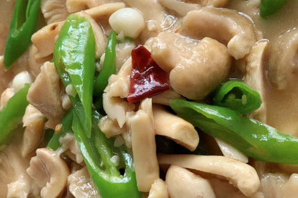 咳嗽能不能吃青头菌吗 咳嗽能不能吃青头菌吗
