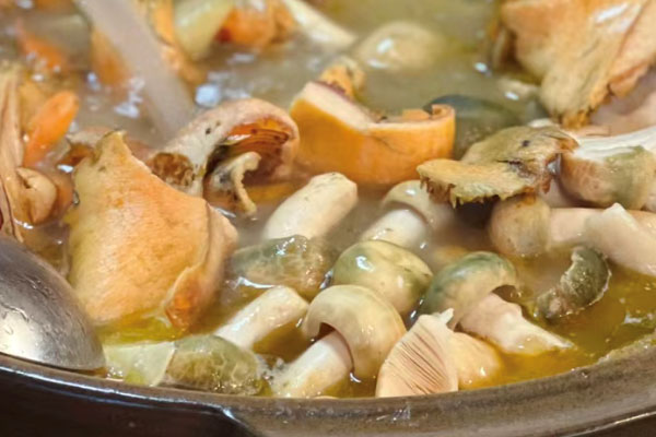 青头菌煮火锅要煮多久，青头菌怎么煮