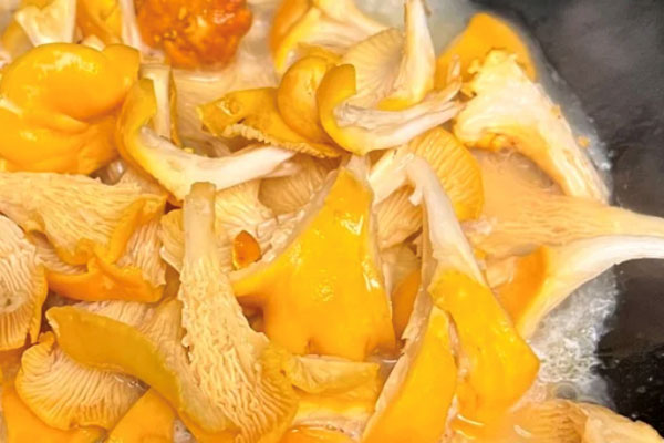 感冒能吃鸡油菌吗