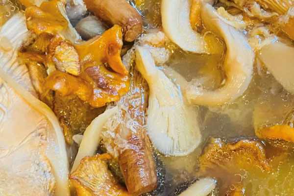 发烧能吃鸡油菌吗