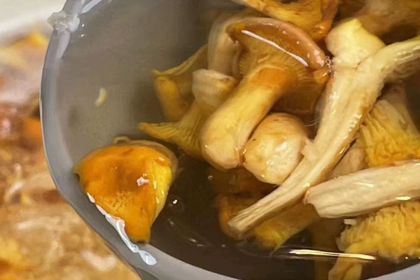 吃鸡油菌月经会不会提前