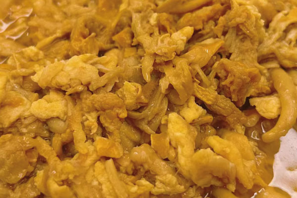 男人吃鸡油菌好吗