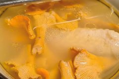 鸡油菌上火吗，鸡油菌可以预防呼吸道疾病吗