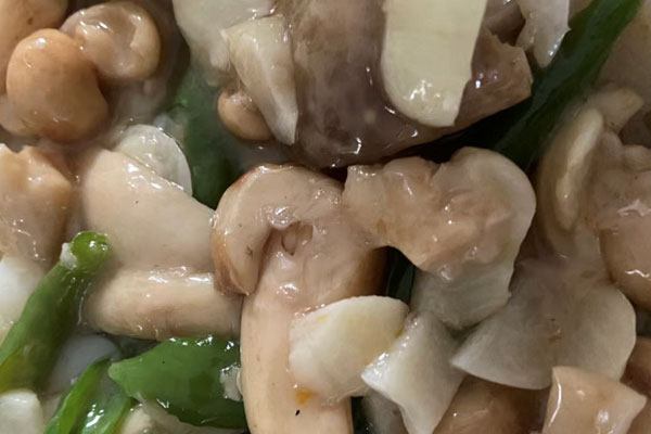 得了痔疮可以吃青头菌吗 得了痔疮可以吃青头菌吗
