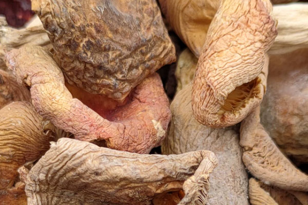 干青头菌怎么做才好吃 干青头菌怎么做才好吃