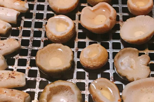 耳膜修补术后能吃青头菌吗