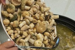 坐月子可以吃青头菌吗，剖腹产能吃青头菌吗