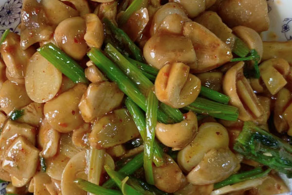 青头菌容易过敏吗 青头菌容易过敏吗