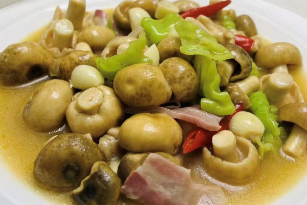 吃青头菌会上火吗 吃青头菌会上火吗