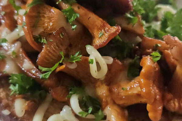 鸡油菌能泡酒吗