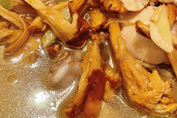煮鸡油菌汤用什么锅好 煮鸡油菌汤用什么锅好