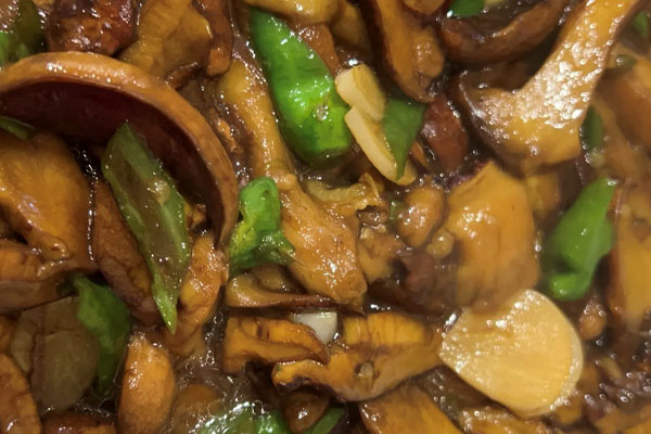 怀孕期间可以吃鸡油菌吗
