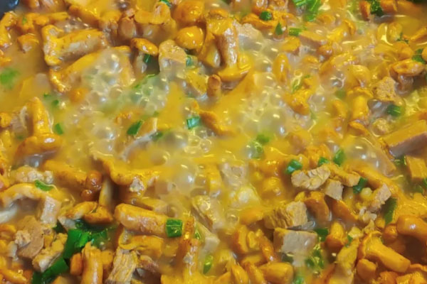 鸡油菌是不是野生菌 鸡油菌是不是野生菌